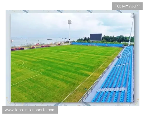 “新兴足球联赛逐步兴起，竞技水平稳步提升”，新兴足球公园